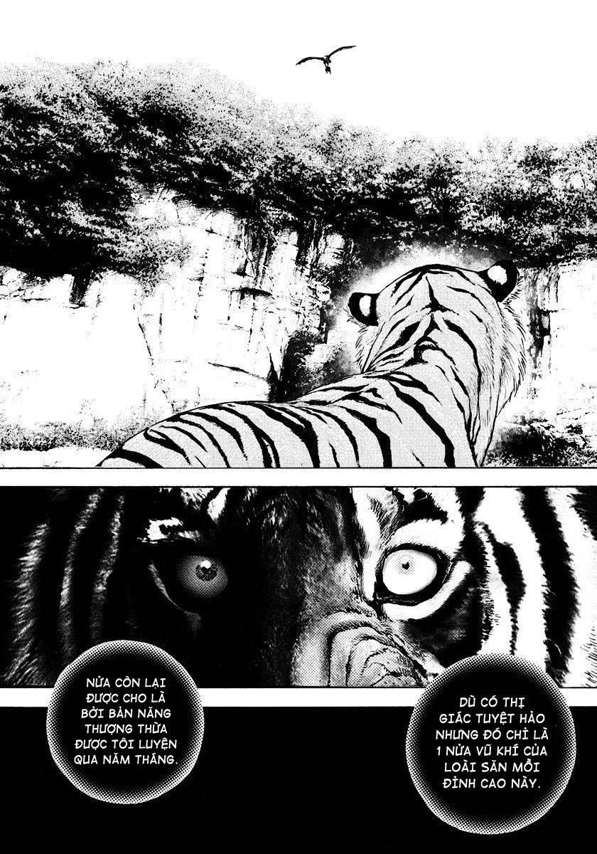 Tough - Miyazawa Kiichi Chapter 425 - Trang 3