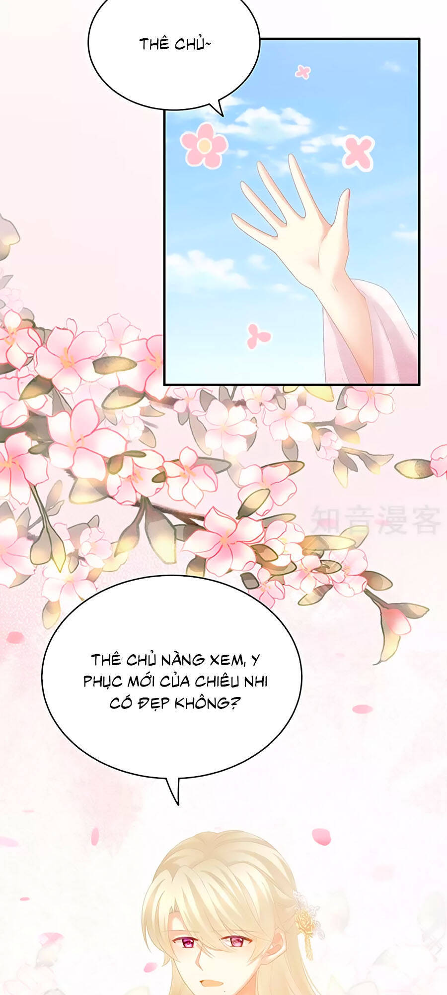 Hậu Cung Của Nữ Đế Chapter 220 - Trang 3