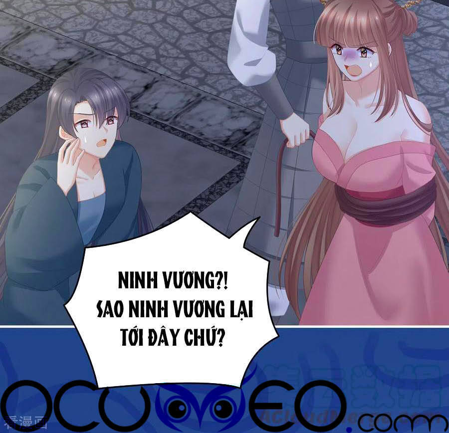 Hậu Cung Của Nữ Đế Chapter 238 - Trang 3