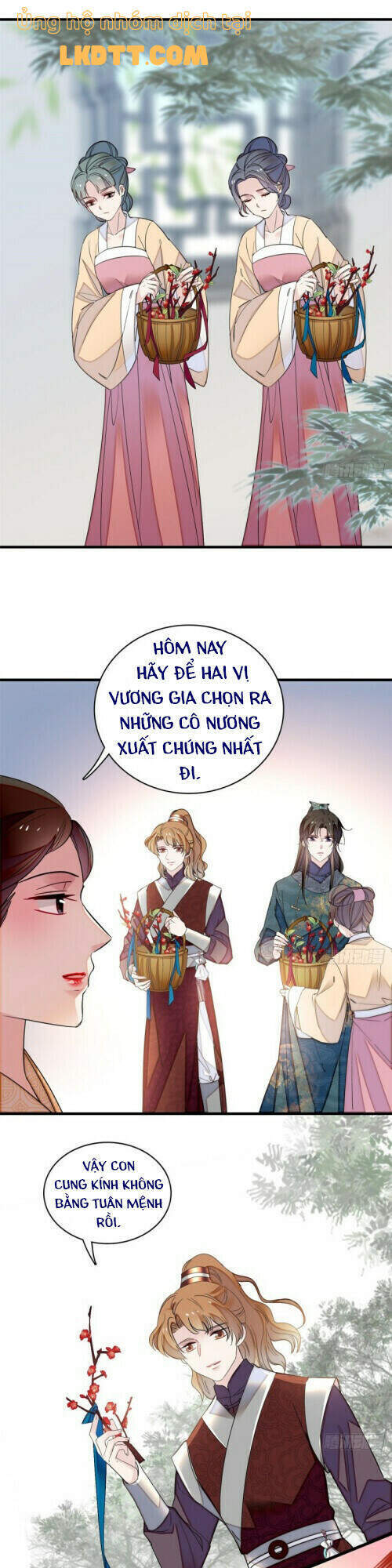 Tự Cẩm Chapter 126 - Trang 3