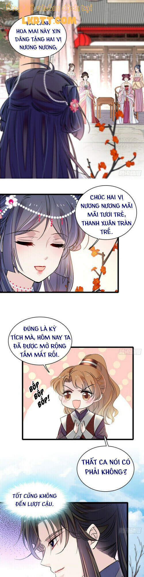 Tự Cẩm Chapter 126 - Trang 3