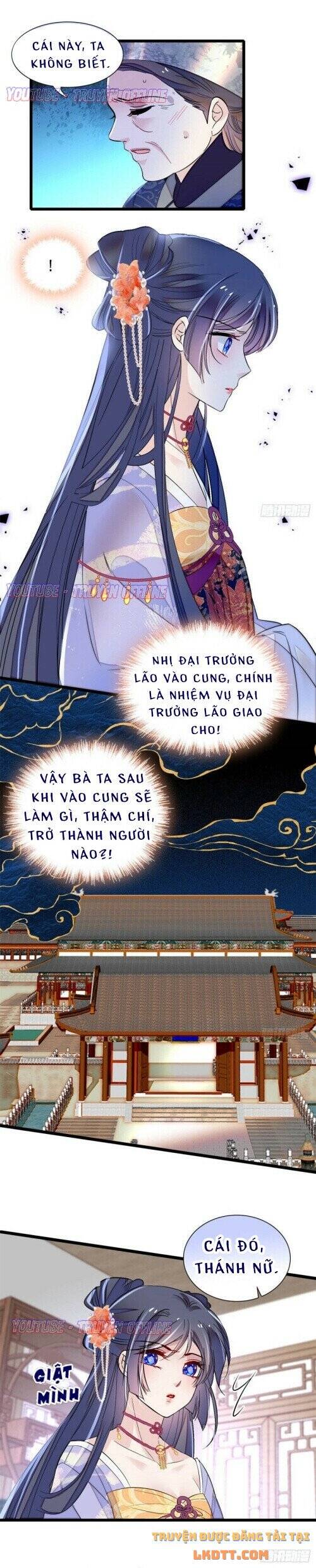 Tự Cẩm Chapter 164 - Trang 3