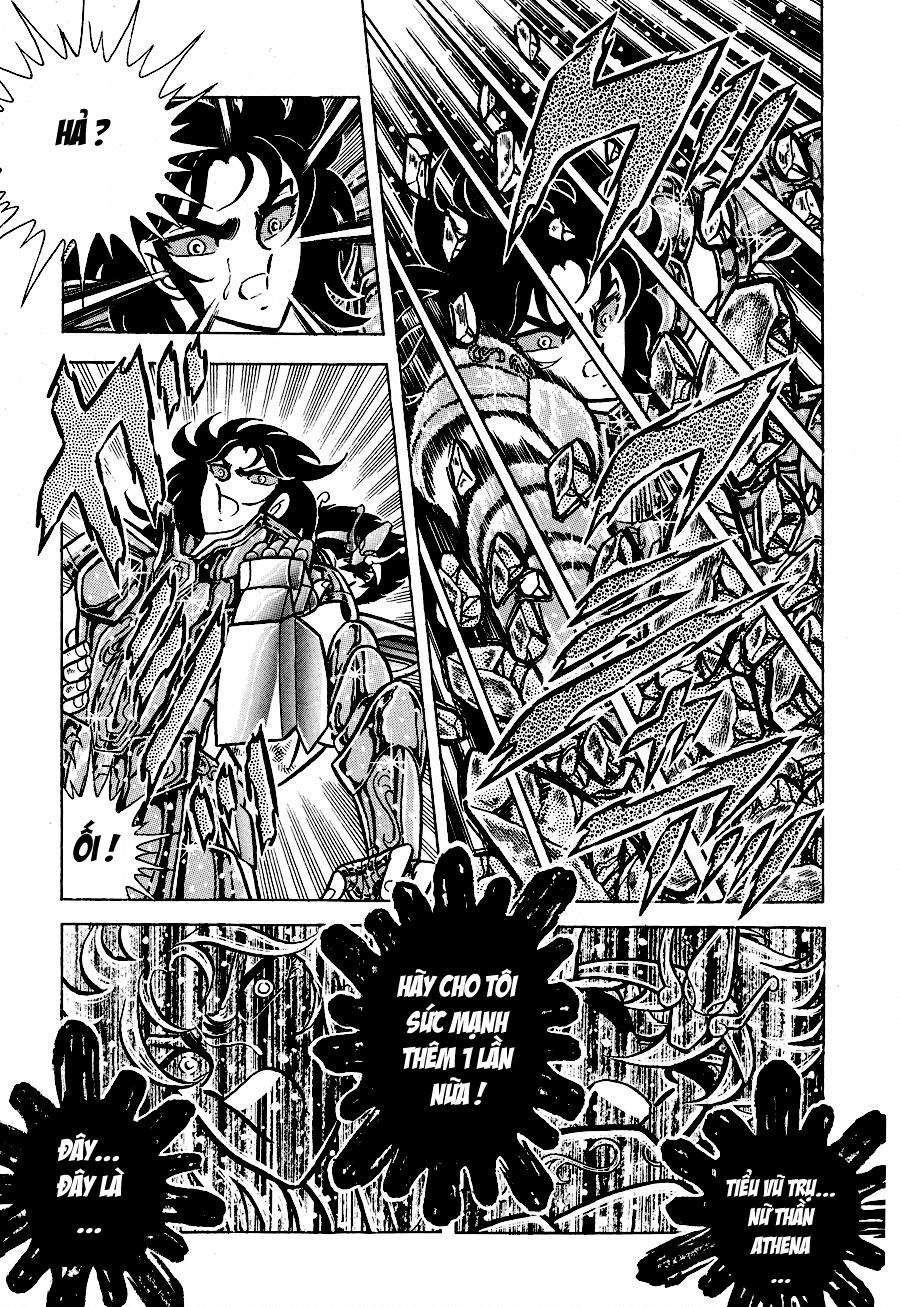 Áo Giáp Vàng Chapter 45 - Next Chapter 46