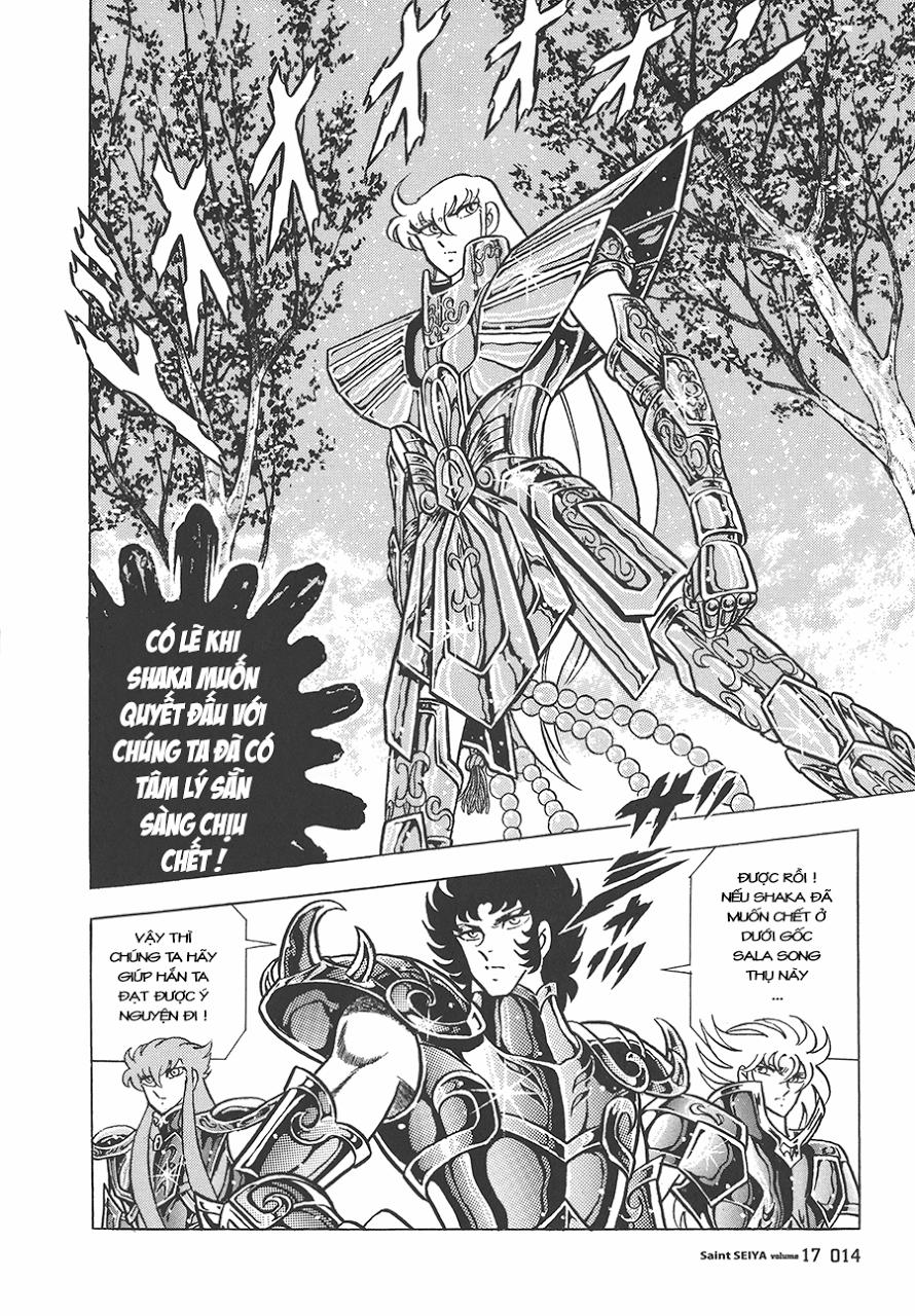 Áo Giáp Vàng Chapter 77 - Next Chapter 78