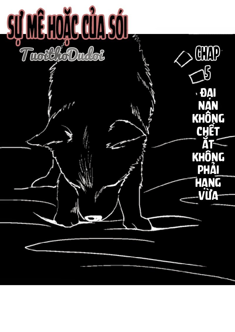 Sự Mê Hoặc Của Sói Chapter 4 - Next Chapter 5