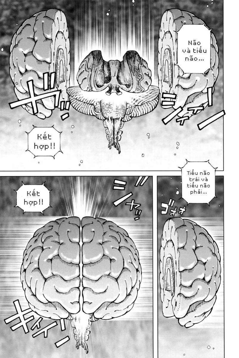 Battle Angel Alita Last Order Chapter 1 - Trang 2