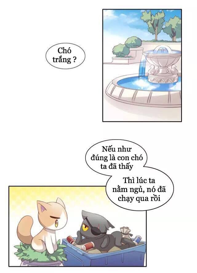 Dưới Móng Vuốt Mèo Chapter 15 - Trang 3