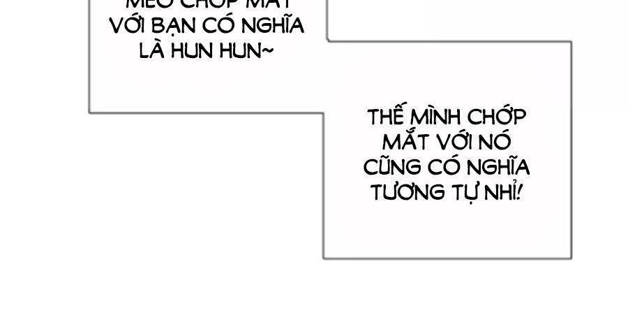 Đừng Nghịch, Ta Chỉ Muốn Yên Tĩnh Chapter 34 - Trang 3