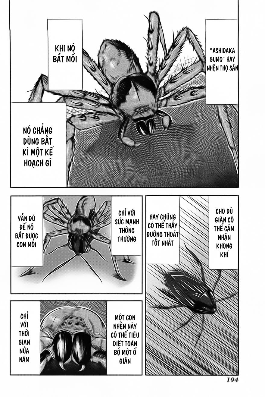 Arachnid Chapter 10 - Next Chapter 11