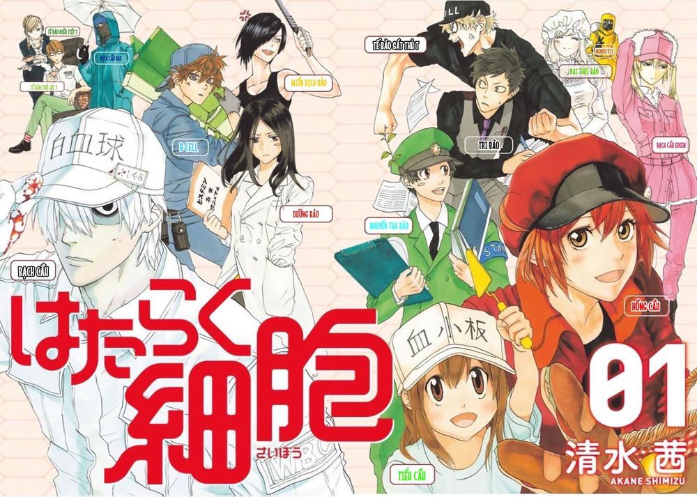 Hataraku Saibou! Chapter 1 - Next Chapter 2