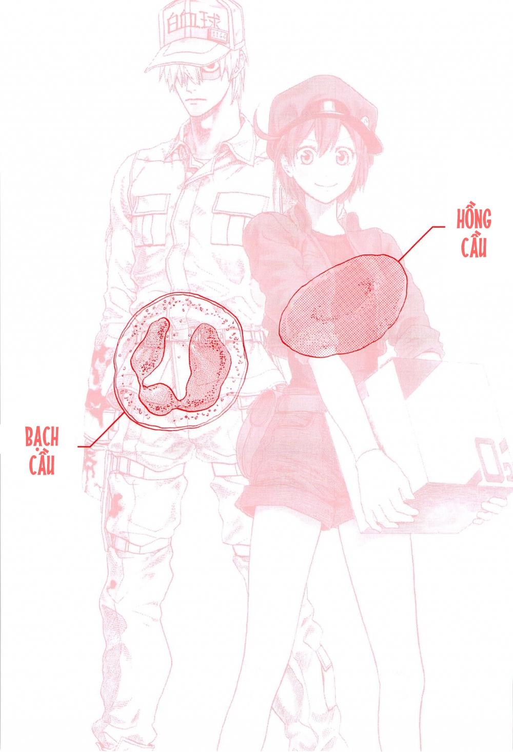 Hataraku Saibou! Chapter 1 - Next Chapter 2