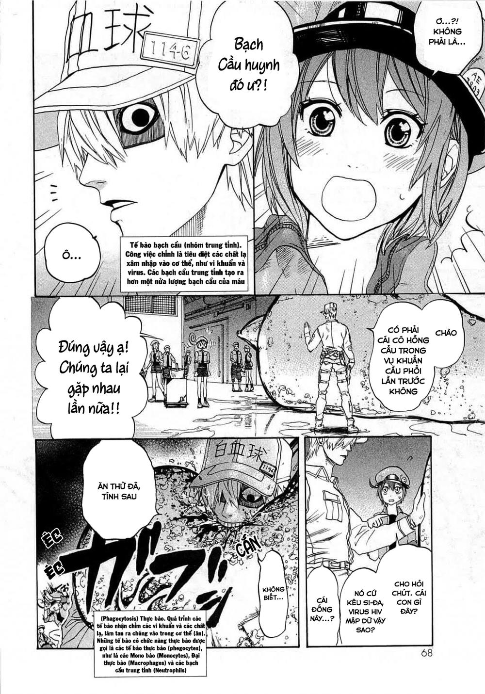 Hataraku Saibou! Chapter 2 - Next Chapter 3