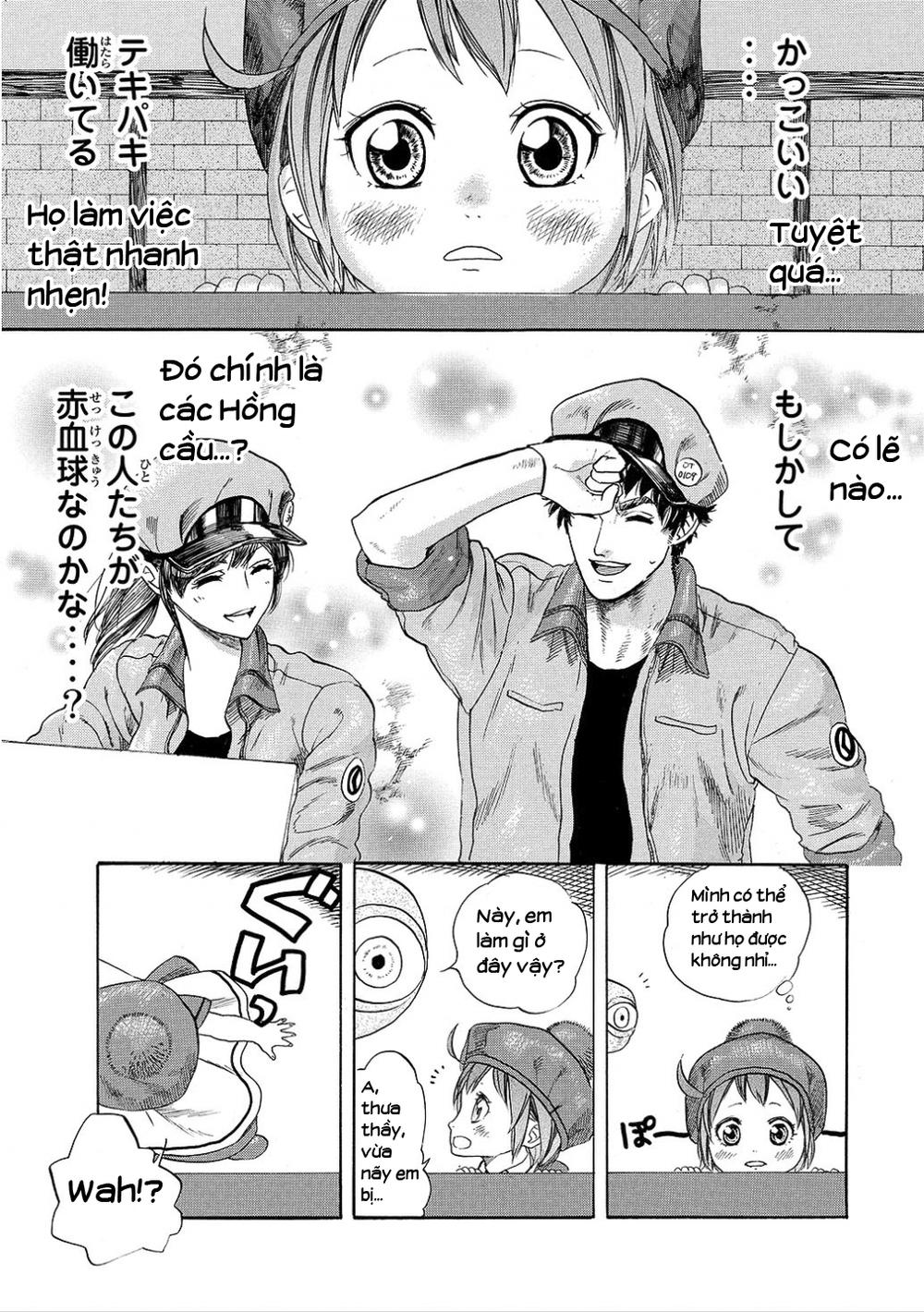 Hataraku Saibou! Chapter 7 - Next Chapter 8