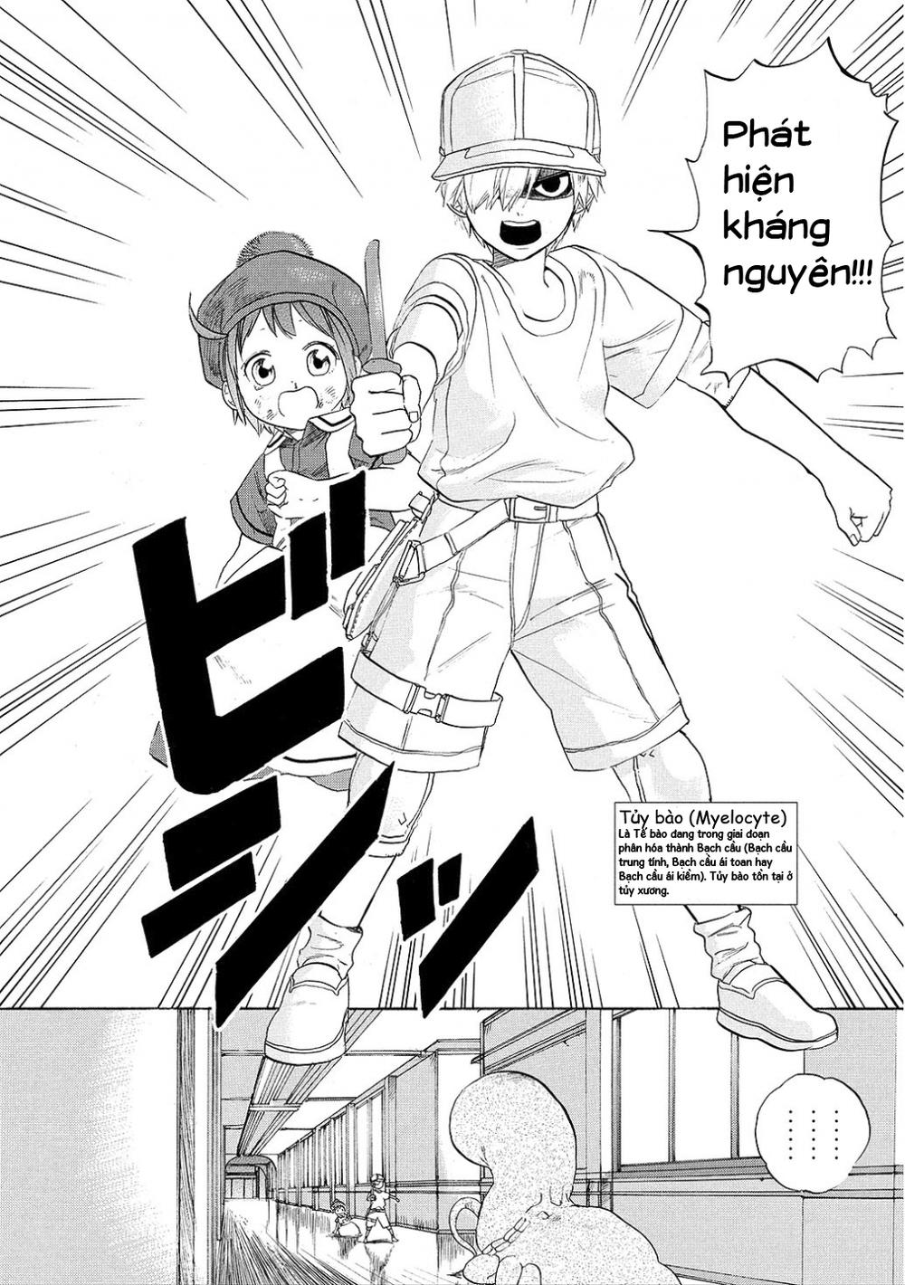 Hataraku Saibou! Chapter 7 - Next Chapter 8