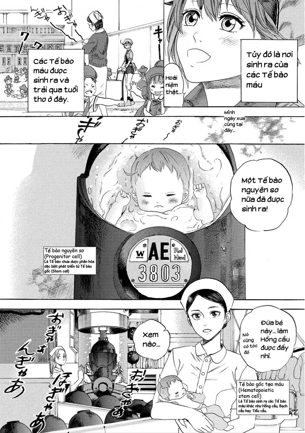 Hataraku Saibou! Chapter 7 - Next Chapter 8