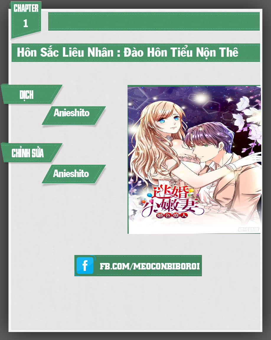 Hôn Sắc Liêu Nhân: Đào Hôn Tiểu Nộn Thê Chapter 1 - Next Chapter 2