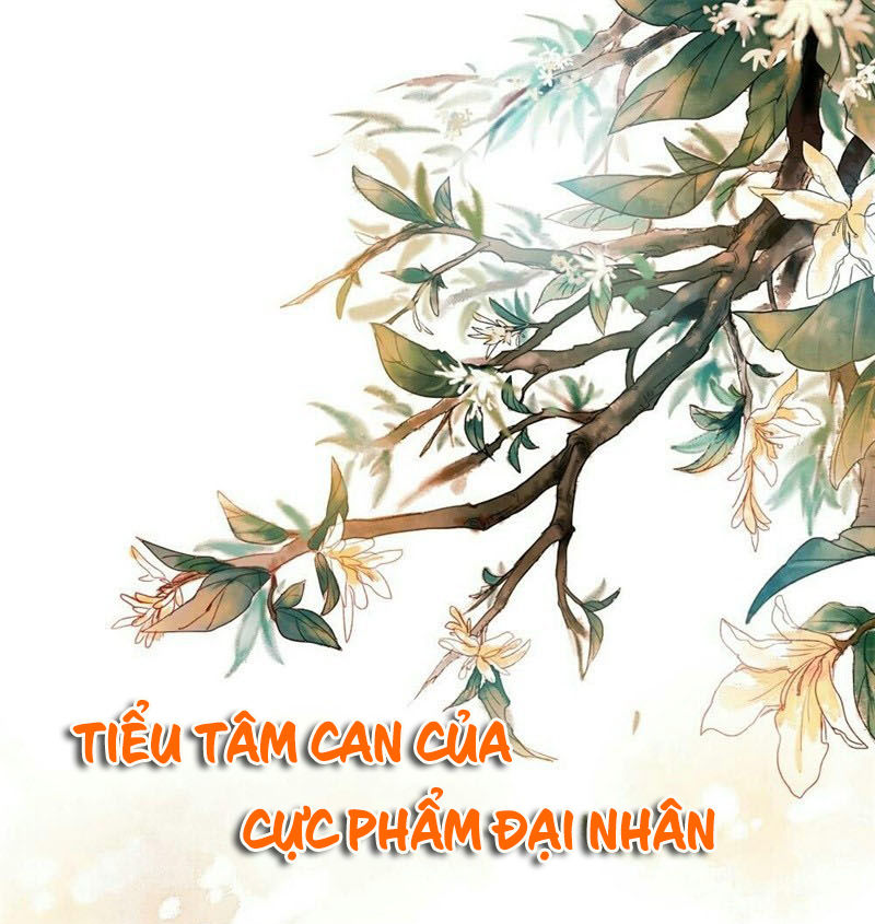 Tiểu Tâm Can Của Cực Phẩm Đại Nhân Chapter 10.1 - Next Chapter 10.2