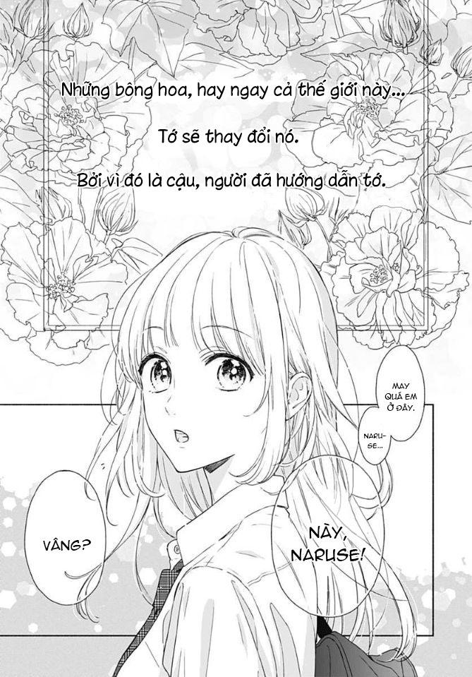 Shunkan Gradation Chapter 1 - Trang 3