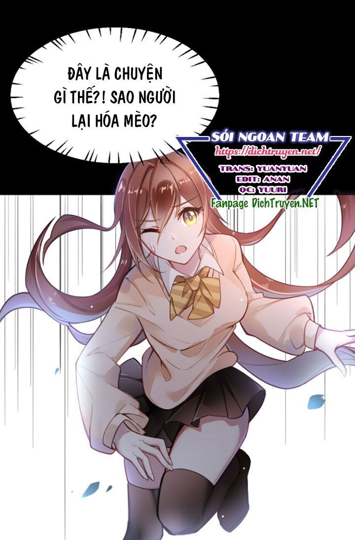 Em Là Bạc Hà Mèo Của Tôi Chapter 2 - Next Chapter 3