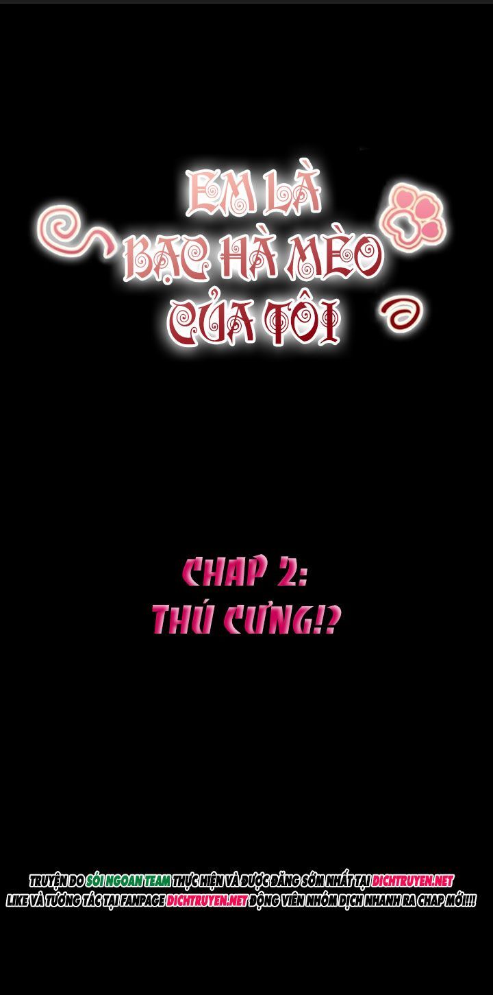 Em Là Bạc Hà Mèo Của Tôi Chapter 2 - Next Chapter 3