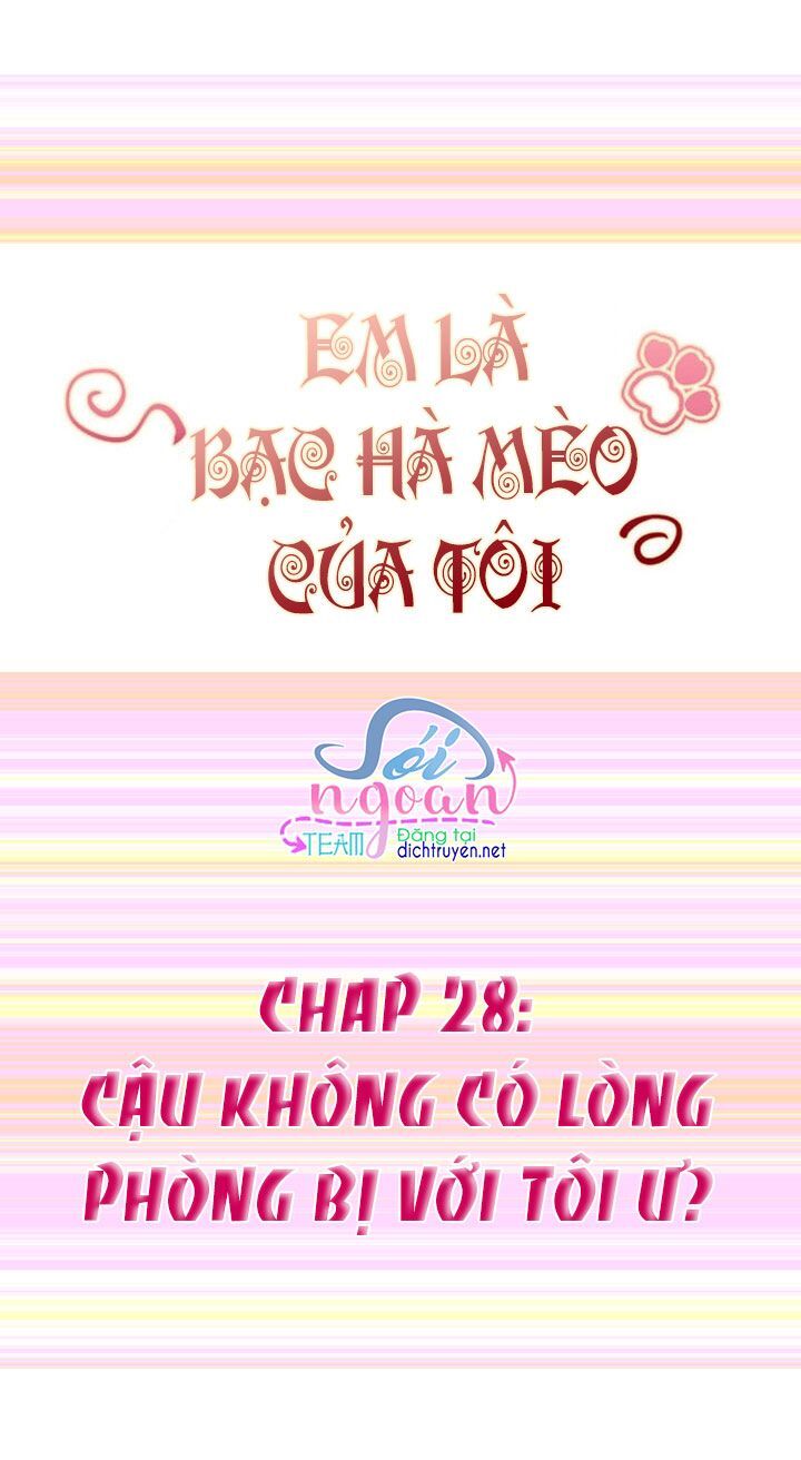 Em Là Bạc Hà Mèo Của Tôi Chapter 28 - Next Chapter 29