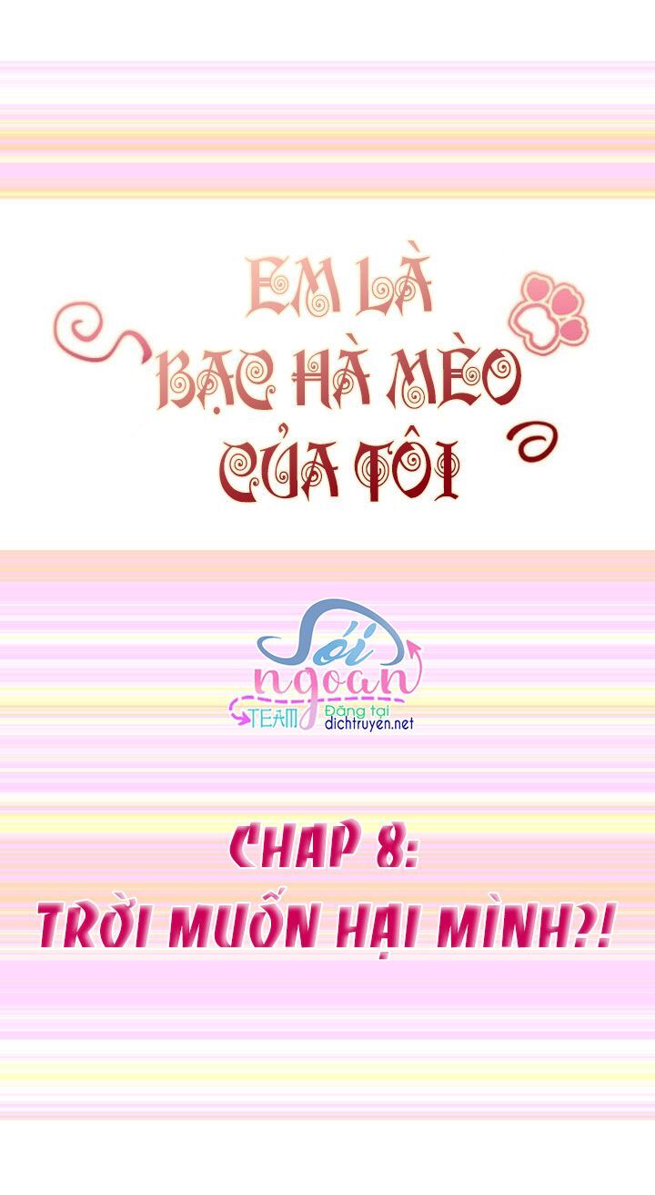 Em Là Bạc Hà Mèo Của Tôi Chapter 8 - Next Chapter 9