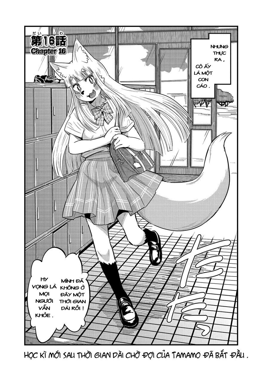 High School Inari Tamamo-Chan Chapter 16 - Trang 2