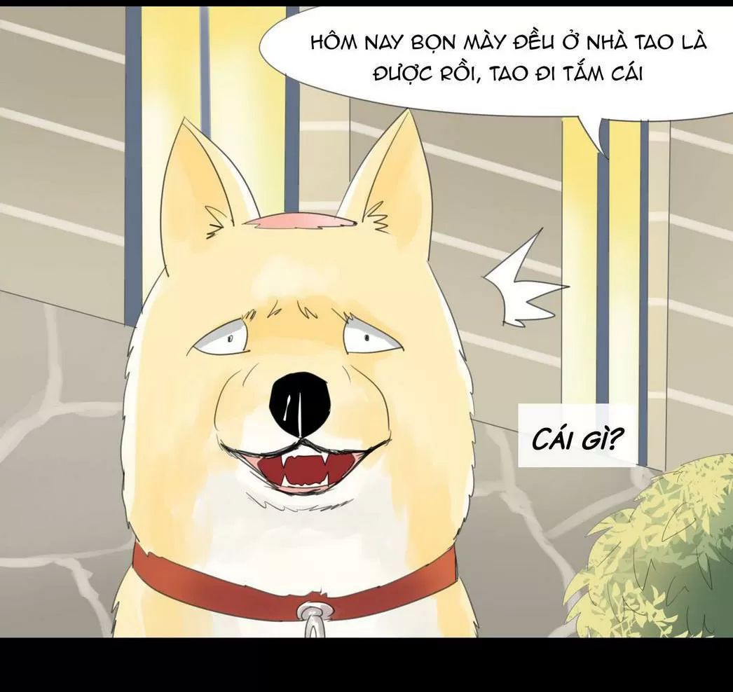 Một Con Chó Chapter 46 - Trang 3