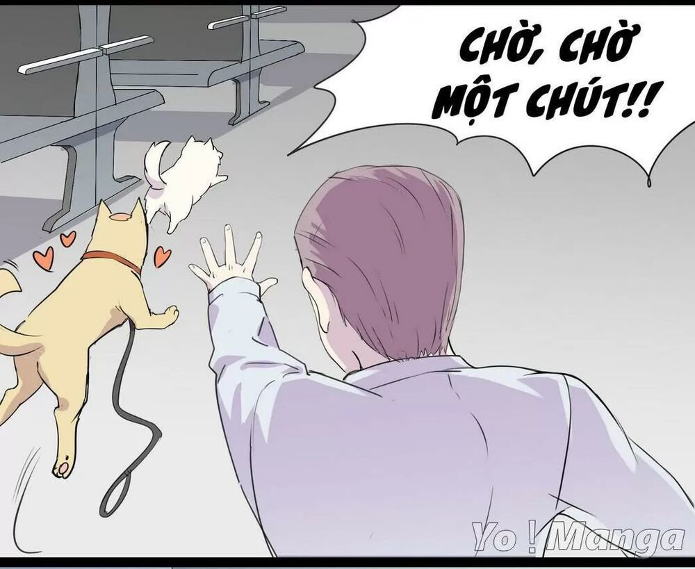 Một Con Chó Chapter 53 - Trang 3