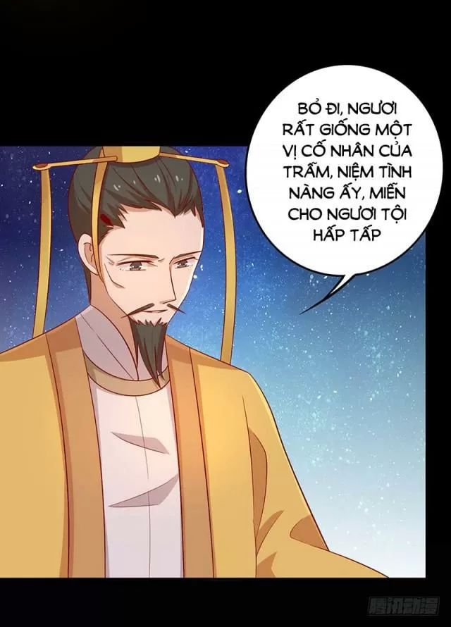 Vương Gia Người Ta Sẽ Giảm Béo Mà!!! Chapter 68 - Trang 2