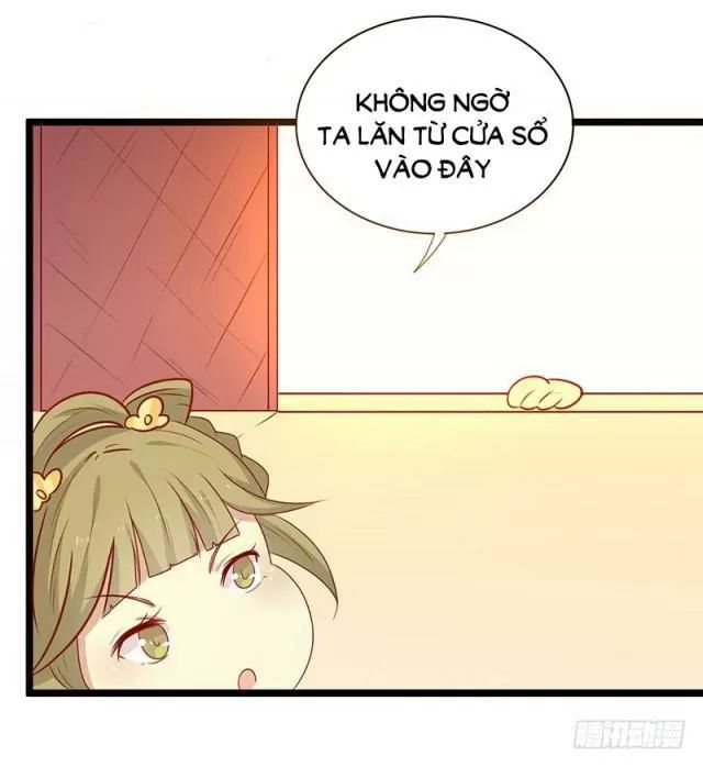 Vương Gia Người Ta Sẽ Giảm Béo Mà!!! Chapter 68 - Trang 2