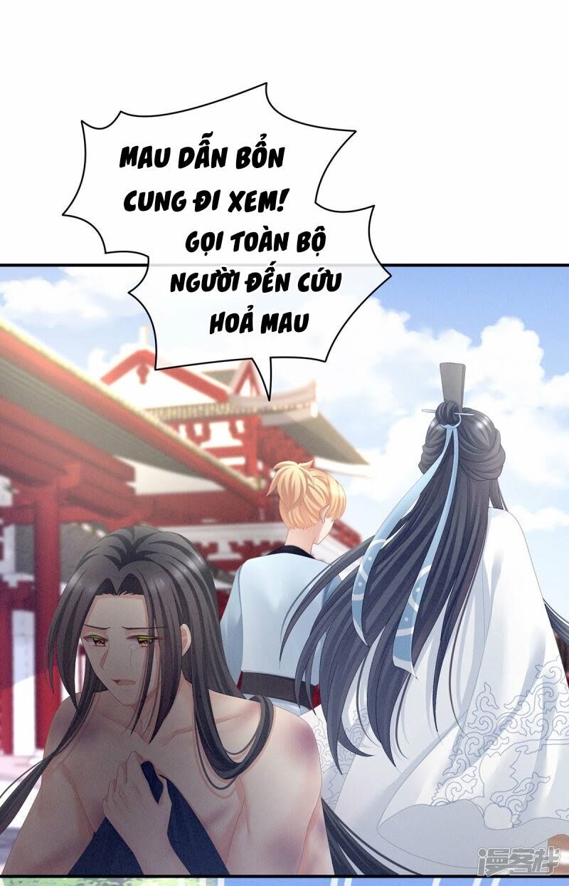 Hậu Cung Của Nữ Đế Chapter 102 - Trang 3