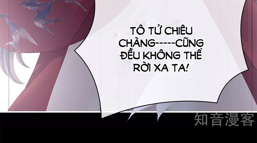 Hậu Cung Của Nữ Đế Chapter 108 - Trang 3