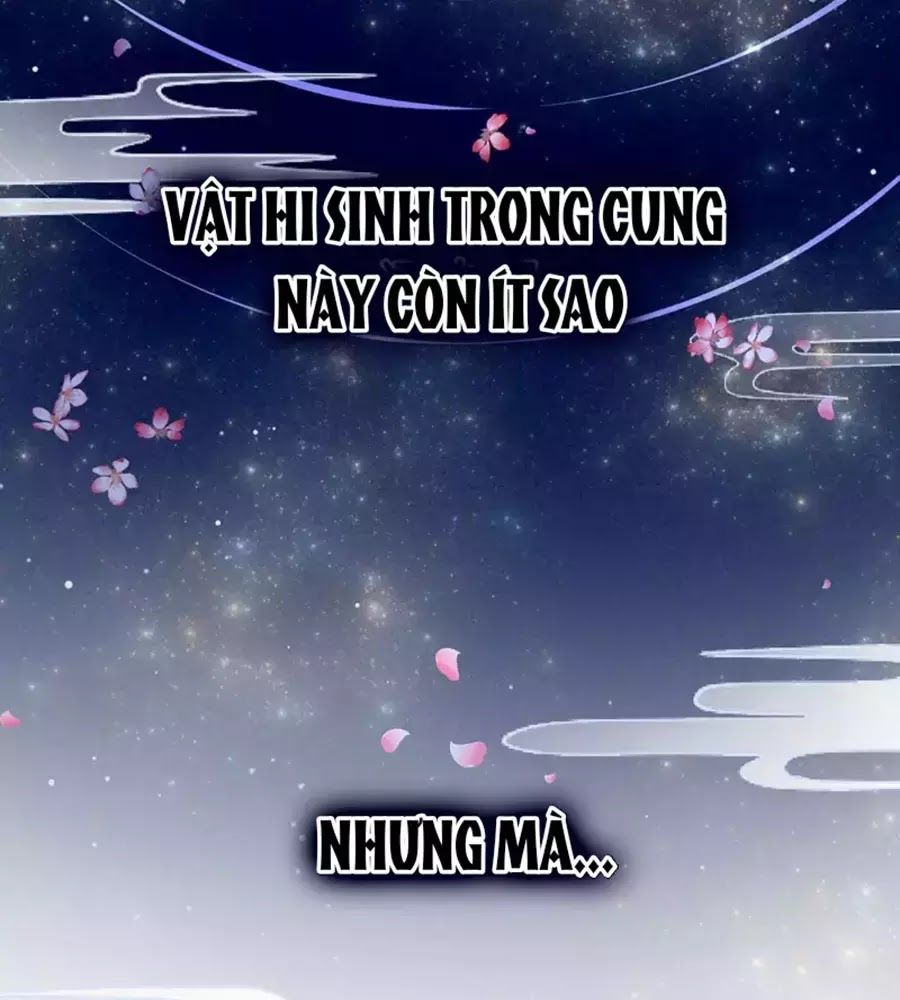 Hậu Cung Của Nữ Đế Chapter 76 - Next Chapter 77