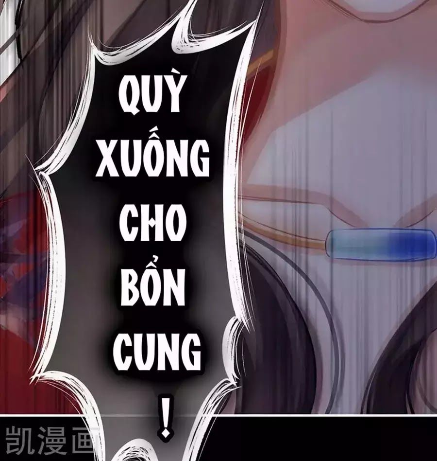 Hậu Cung Của Nữ Đế Chapter 76 - Next Chapter 77