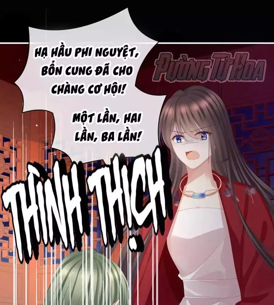 Hậu Cung Của Nữ Đế Chapter 76 - Next Chapter 77