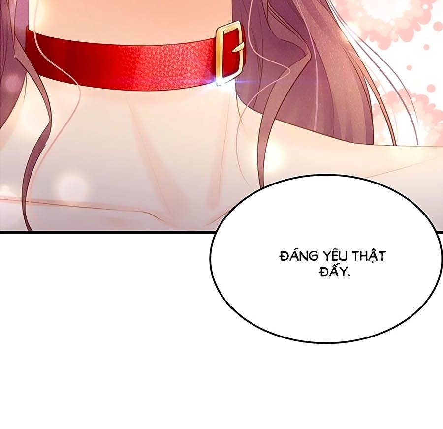 Ta Với Bốn Vị Cố Tiên Sinh Chapter 48 - Trang 3