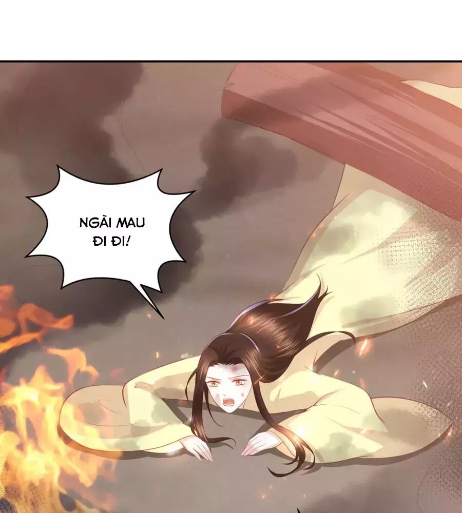 Phượng Hoàng Thác: Chuyên Sủng Khí Thê Chapter 49 - Next Chapter 50