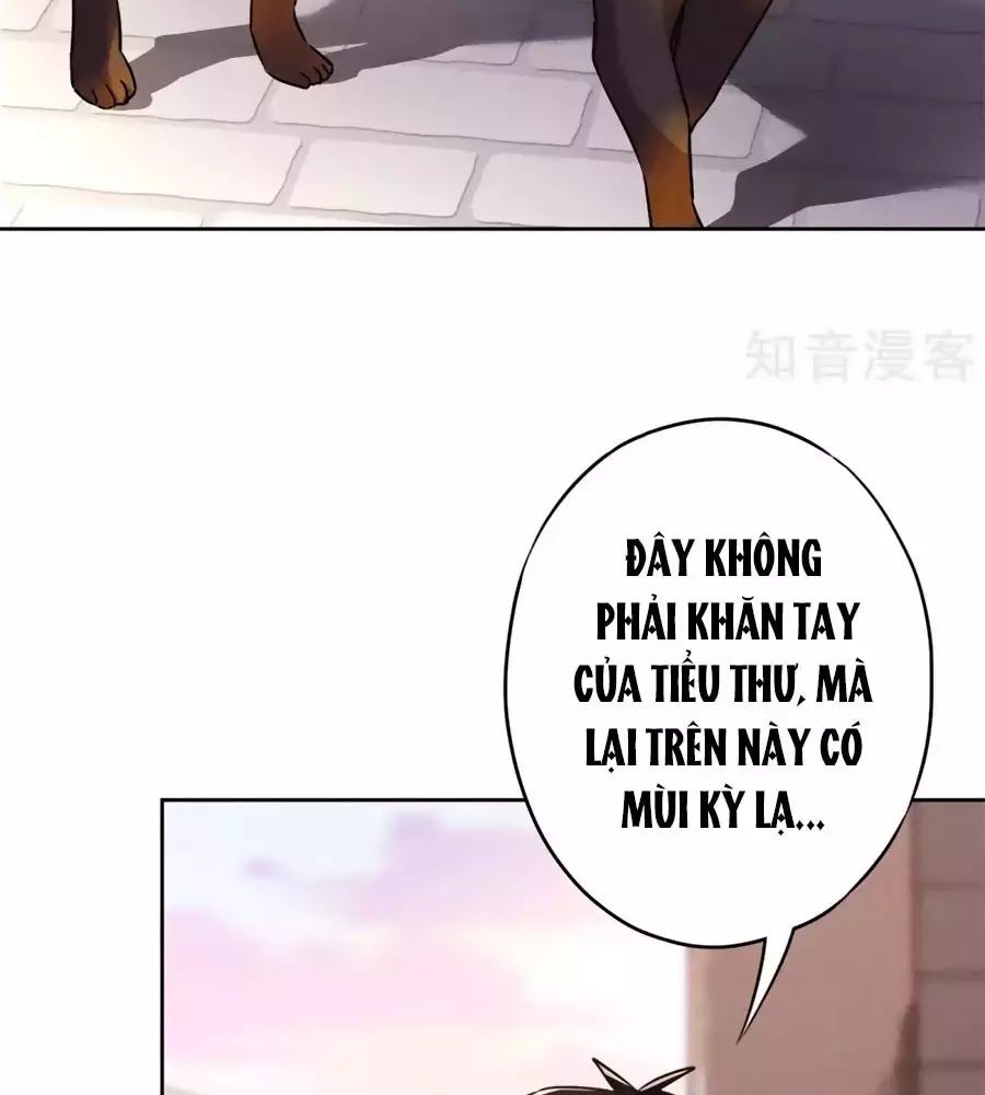 Thiếu Soái, Vợ Anh Muốn Lật Trời! Chapter 32 - Trang 3