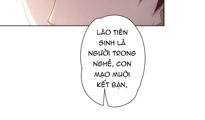 Ta Có Thể Thấy Tỉ Lệ Thành Công Chapter 6 - Trang 4