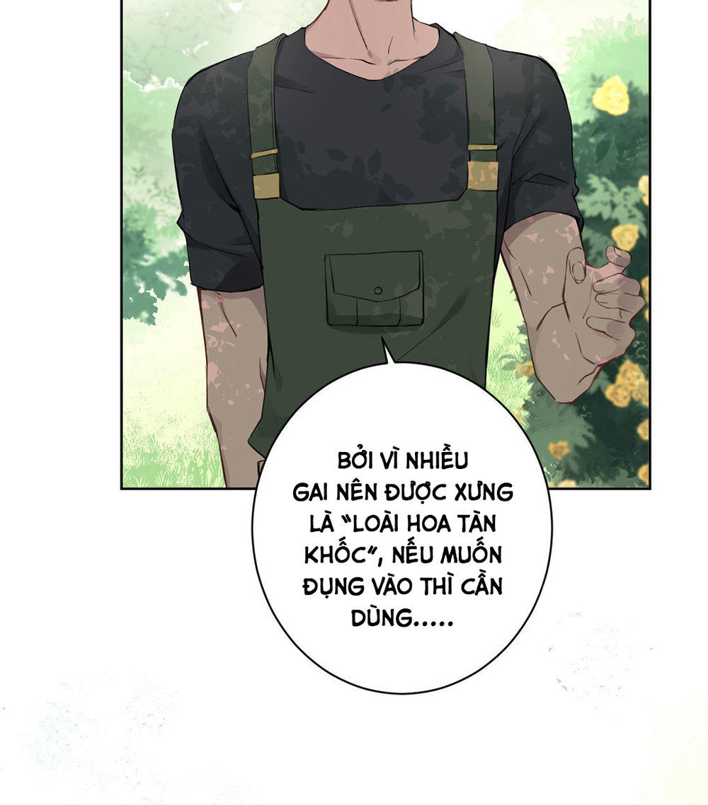 Đại Chiến Công Chúa Chapter 8 - Next Chapter 9