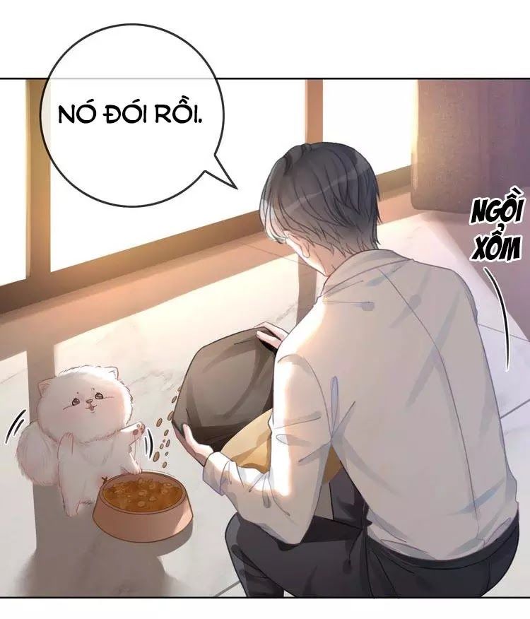 Ám Hắc Hệ Noãn Hôn Chapter 9 - Trang 4