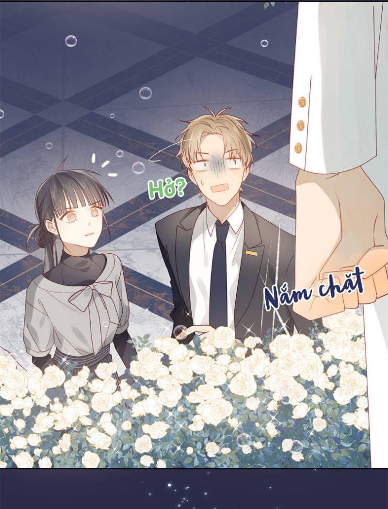 Lời Thề Như Sương Triều Chapter 13 - Next Chapter 14