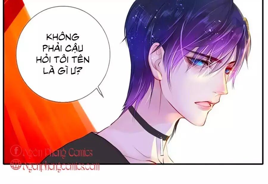 Chung Cư Của Các Ảnh Đế Chapter 1 - Trang 3