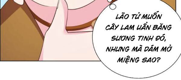 Tôn Thượng Chapter 135 - Trang 4