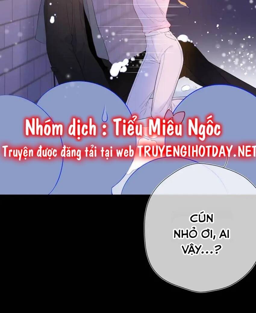 Ngôi Sao Cho Tôi Chapter 148 - Trang 3