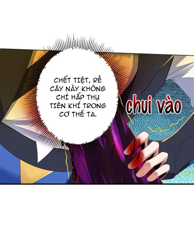 Đệ Nhất Ở Rể Chapter 313 - Trang 3