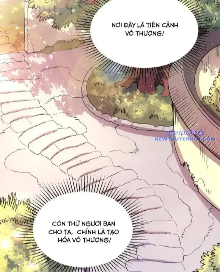 Nguyên Lai Ta Là Tu Tiên Đại Lão Chapter 531 - Next Chapter 532