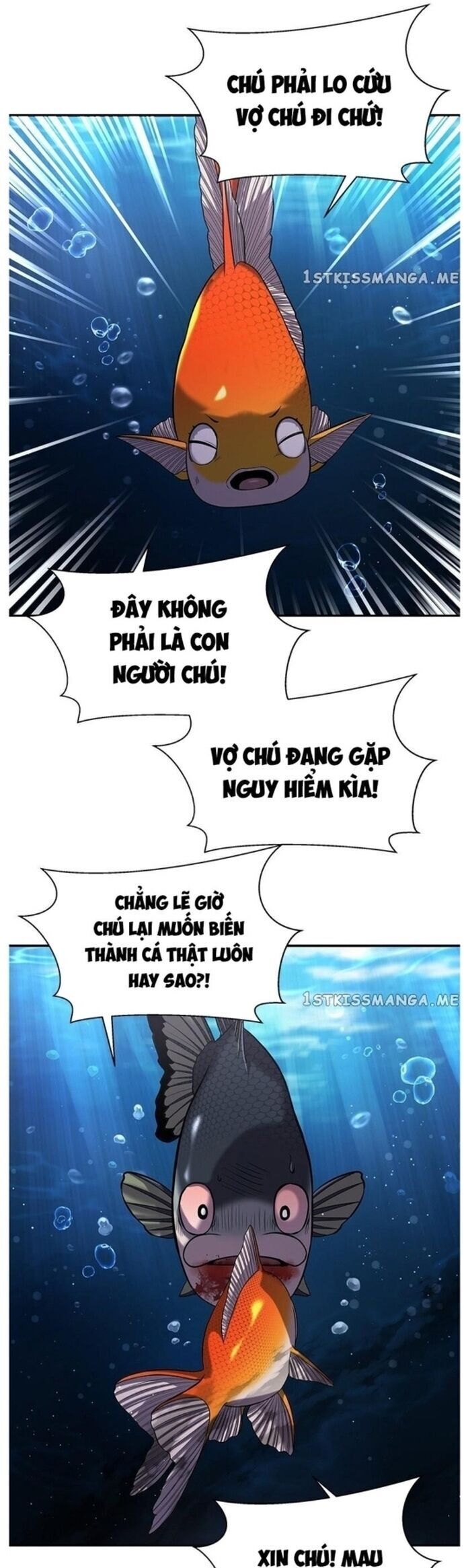 Hoá Thân Thành Cá Chapter 37 - Trang 3