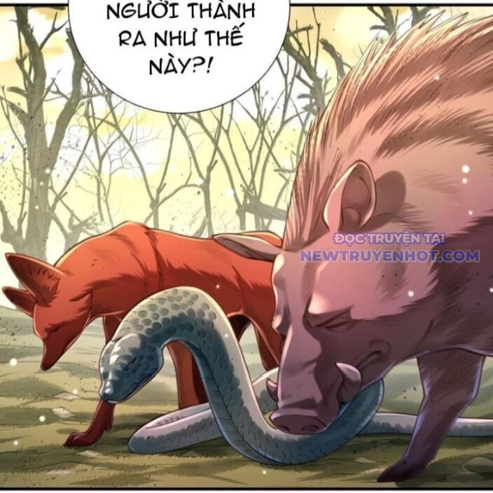 Bói Toán Mà Thôi, Cửu Vĩ Yêu Đế Sao Lại Thành Nương Tử Ta?! Chapter 72 - Next Chapter 73